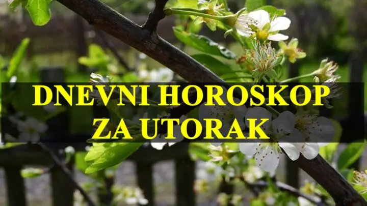 Dnevni horoskop za utorak, zvezde ce vam biti naklonjene.