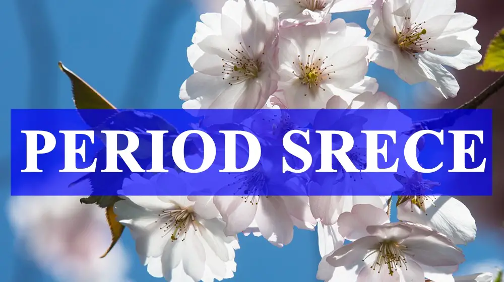 Cini se da ce sledeci dani biti period srece za ova cetiri znaka zodijaka ! Cini se da ce sledeci dani biti period srece za ova cetiri znaka zodijaka !