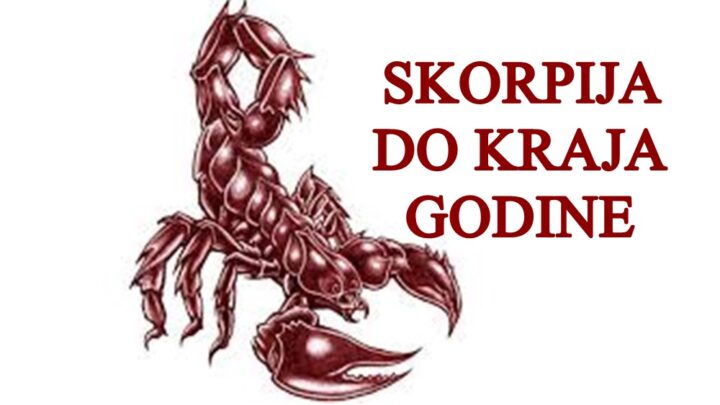 Skorpija do kraja godine evo sta avs to ceka !