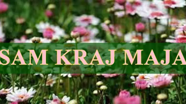 Kraj maja donosi sa sobom strpljivost za Bika a emocije za Ribe !