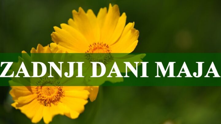 Zadnjih pet dana meseca maja , prilike i dogadjaji koji ne smete propustiti !