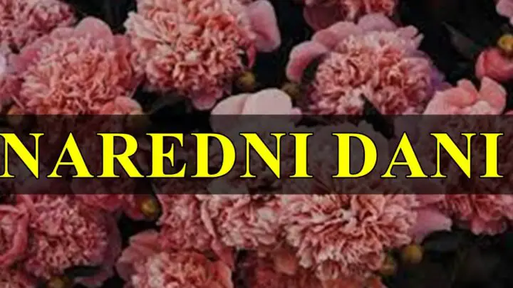 Naredni dani  su veoma energicni za neke znakove,vreme je za oragnizaciju.