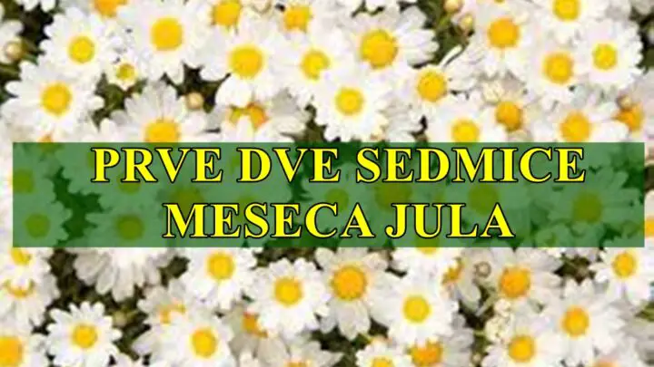 Prve dve sedmice jula , Blizanci budite oprezni s finansijskim odlukama i pazite na nepotrebne troškove.