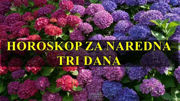 Ponedeljak utorak i sreda, evo horoskopa za ova tri dana !