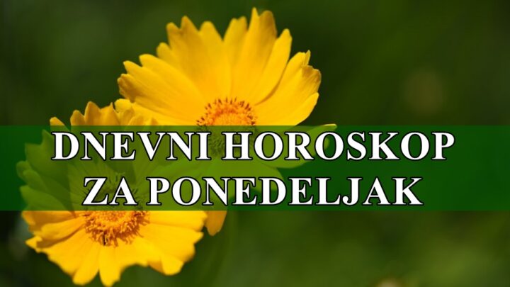 Bez obzira na vaš horoskopski znak, fokusirajte se na organizaciju, postavljanje ciljeva i uspostavljanje prioriteta.