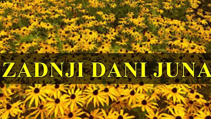 Zadnji dani juna donose promene kako emocionalne tako i zivotne.