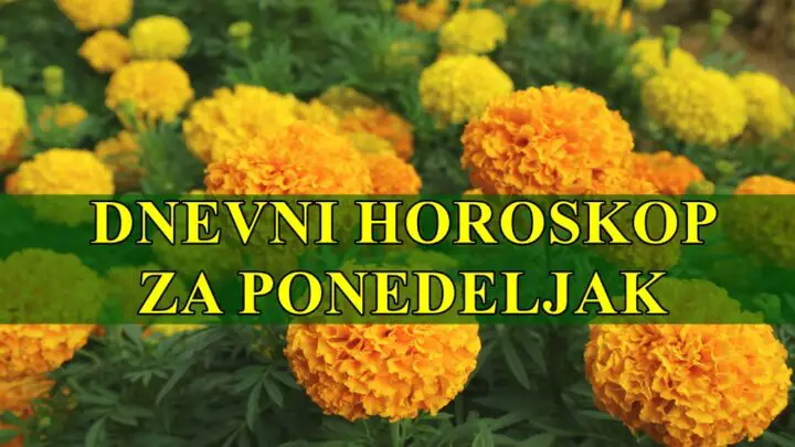Dnevni horoskop za ponedeljak,Ovnovi zapocinju nove projekte a strelcu su moguce prilike za nova putovanja.