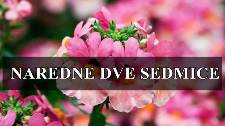 Naredne dve sedmice ispred nas , opsiran horoskop za sve znake zodijaka !