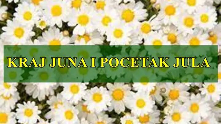 Kraj juna i pocetak jula , za sve znake zodijaka sta avs to ocekuje !