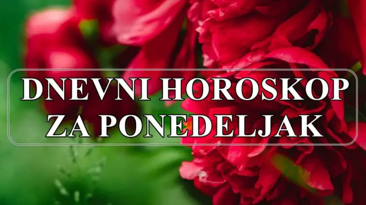 Ponedeljak  je ovog dana je vazno da se prilagodite promenama koje slede.