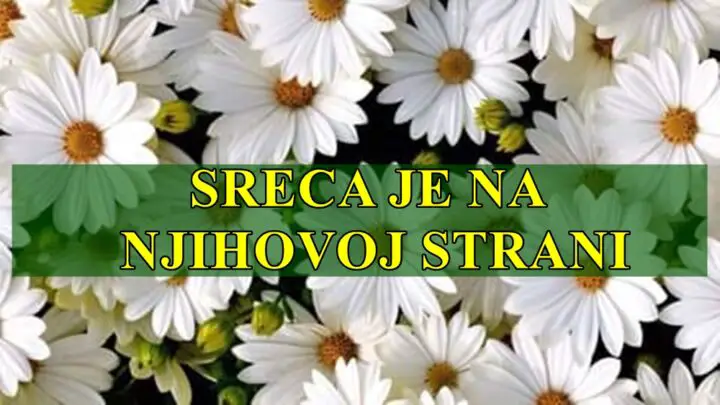 Ove znakove očekuje sreća i pozitivne promene u julu, stoga iskoristite prilike koje vam dolaze i uživajte u pozitivnoj energiji koja će vam biti na raspolaganju.