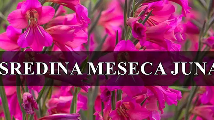 Sredina meseca juna donosi duboke emotivne promene za neke znake zodijaka !