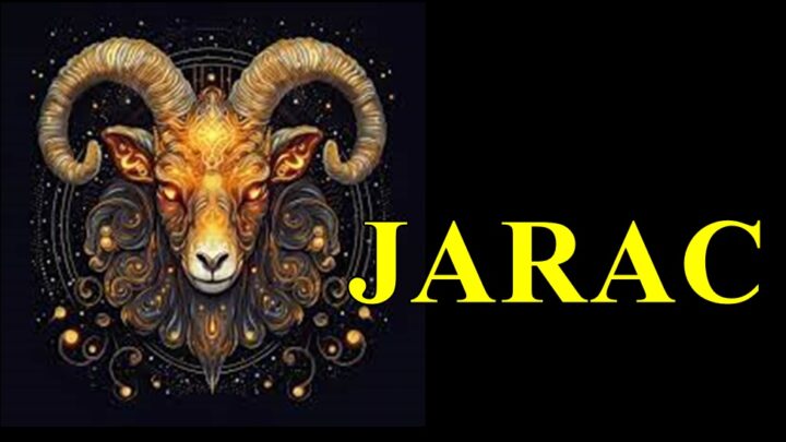 JARAC  je DUSA OD COVEKA ali ako ga  ZA SRCE UJEDES unistice  SVE STO IMAS!