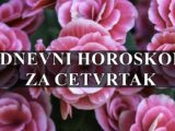 Dnevni horoskop za cetvrtak , Rakovi emocionalno osjetljivi.a Strelci imaju nove vidike.