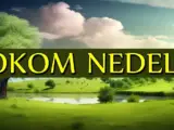 Tokom nedelje