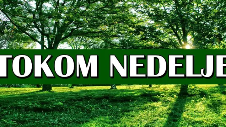 Tokom nedelje: Raku stiže novac, Strelcu poruka, dok će OVAJ znak biti loše raspoložen!