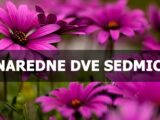 Naredne dve sedmice pred nama, sta vam to sa sobom donose ?