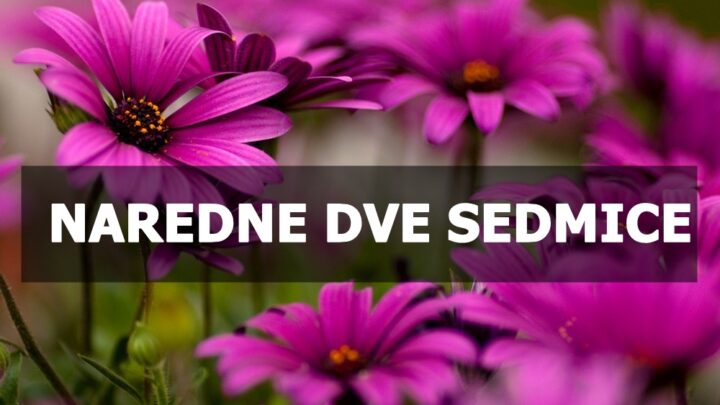 Naredne dve sedmice pred nama, sta vam to sa sobom donose ?