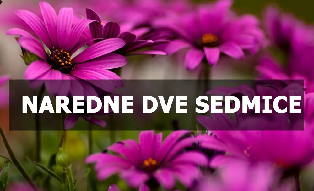 Naredne dve sedmice pred nama, sta vam to sa sobom donose ?