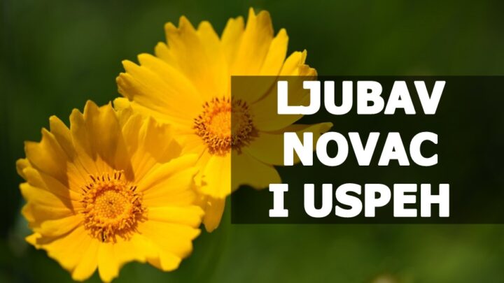 Ljubav novac i uspeh dolaze ovim znacima zodijaka !