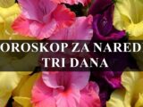 Horoskop za naredna tri dana za sve znakove zodijaka!