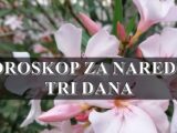 Horoskop za sredu, četvrtak i petak za sve znakove zodijaka!