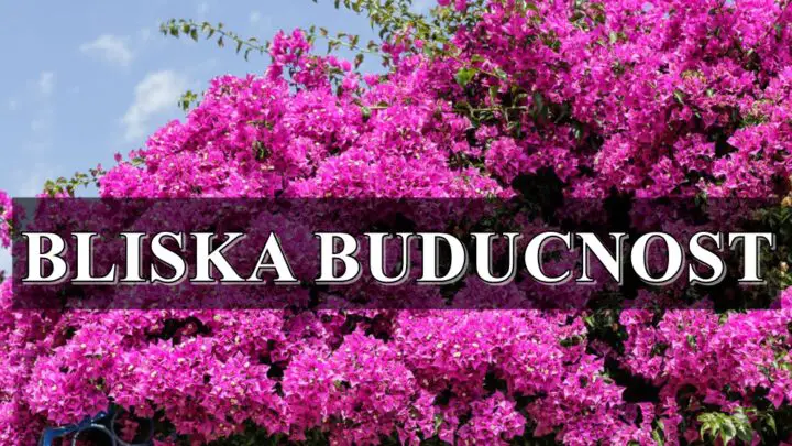 Bliska buducnost za sve znake zodijaka , evo sta vam donosi !