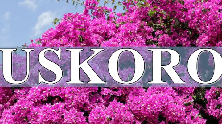 Uskoro vas ocekuju male promene nekoga u ljubavi a nekoga u karijeri.