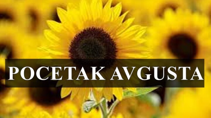 Astro prognoze za pocetak avgusta za sve znake zodijaka !