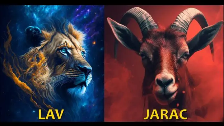 Jarac i Lav kriju svoje emocije iz straha da ce biti povredjeni !