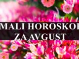 Mali horoskop za avgust za sve znake zodijaka !