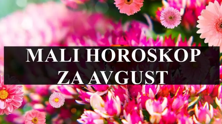 Mali horoskop za avgust za sve znake zodijaka !