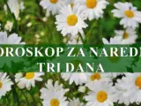 Horoskop za naredna tri dana , Jarcevi vasa disciplina ce vam pomoci da stignete do zapazenih rezultata.