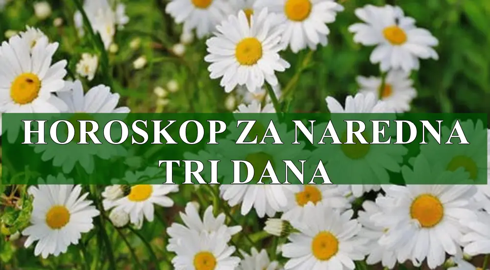 Horoskop za naredna tri dana , Jarcevi vasa disciplina ce vam pomoci da stignete do zapazenih rezultata. Horoskop za naredna tri dana , Jarcevi vasa disciplina ce vam pomoci da stignete do zapazenih rezultata.