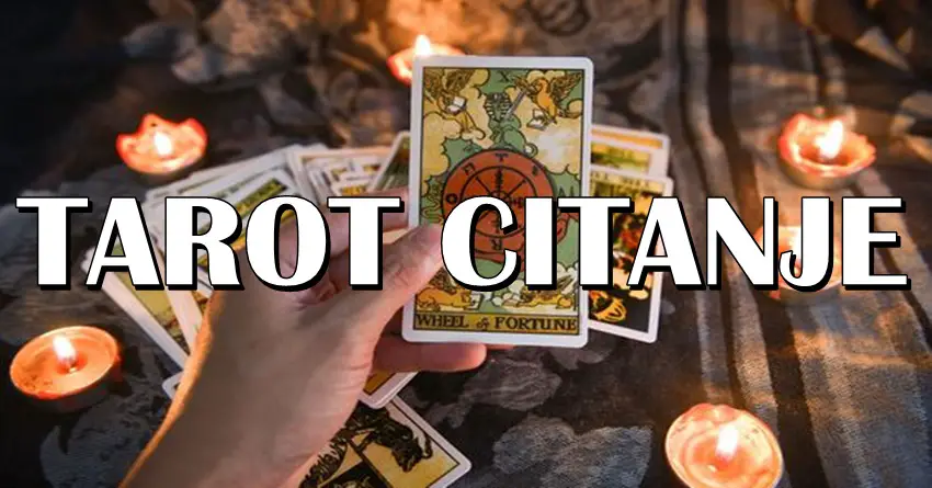 Tarot ljubavno citanje od 5. do 12.avgusta:Nekome treba da cestitamo!