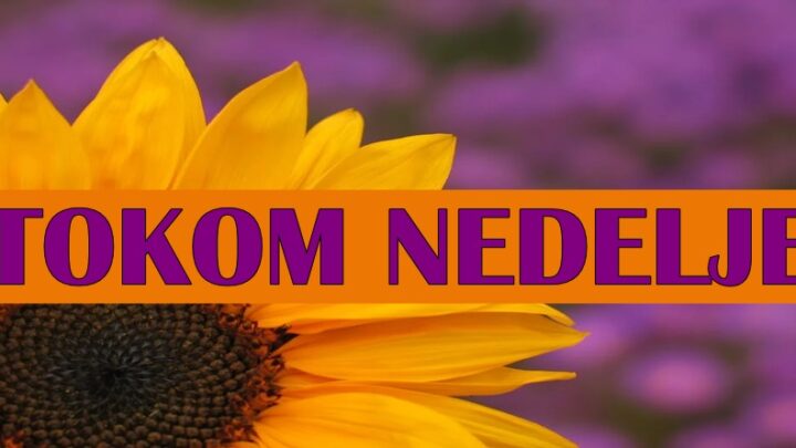 TOKOM NEDELJE: Raka ponovo košta dobrota, dok Lavove i Ribe čeka mnogo toga sjajnog!
