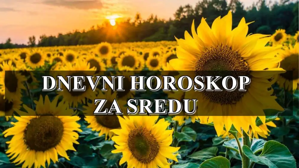 Dnevni horoskop za sredu,Lavovi vi ste danas veoma kreativni i samopuzdani.