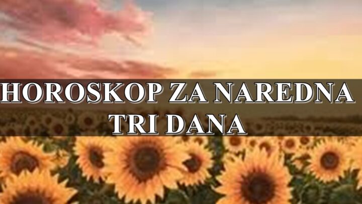 Bik previse razmislja o dugorocnim ciljevima a Vaga je usmerena na odnose sa okolinom.
