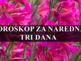 Horoskop za naredna tri dana , Blizanci uzivaju u drustvu , Jarac se posvecuje svojim emotivnim potrebama.