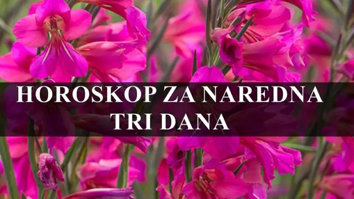 Horoskop za naredna tri dana , Blizanci uzivaju u drustvu , Jarac se posvecuje svojim emotivnim potrebama.