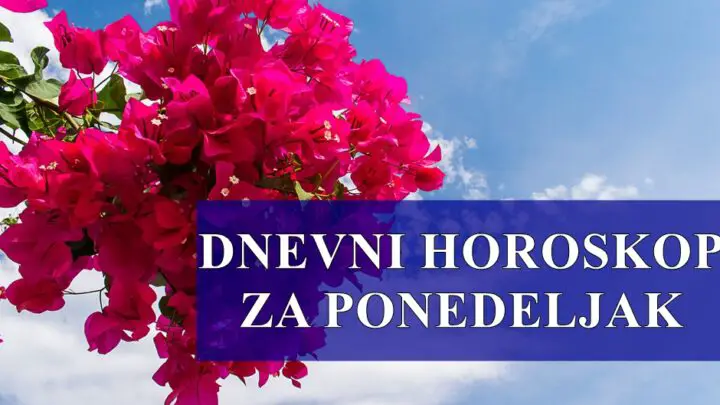 Dnevni horoskop za Utorak,Lavovi vasa harizma ce vam pomoci da budete u centru paznje.