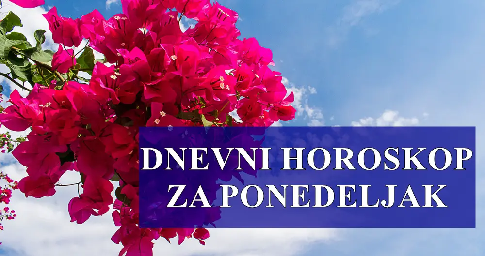 Dnevni horoskop za Utorak,Lavovi vasa harizma ce vam pomoci da budete u centru paznje.