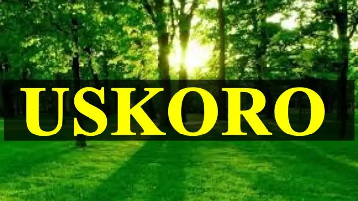 Lava očekuje slava i priznanje, Ribe i Vaga plivaju u dubinama ljubavi, Bik gradi stabilnu budućnost…