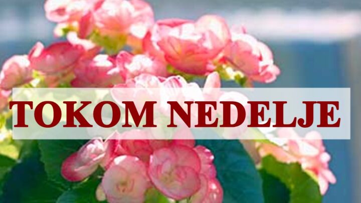 Tokom nedelje Ovnovi veliki izazovi su pred vama !