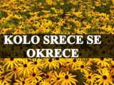 Kolo srece se okrece , ovi znaci bice srecniji i uspesniji nego ikada.