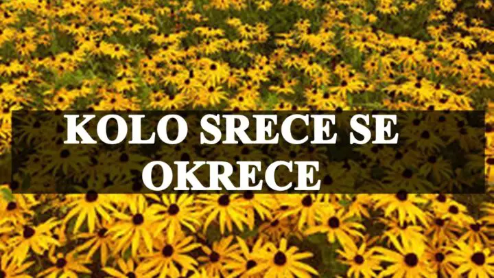 Kolo srece se okrece , ovi znaci bice srecniji i uspesniji nego ikada.
