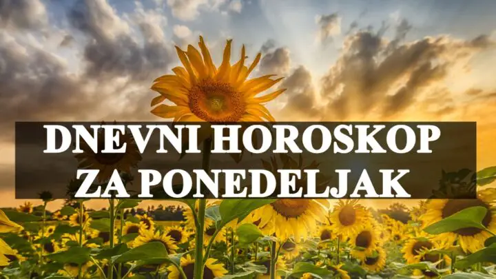 Dnevni horoskop za ponedeljak, Rakovi Danas je povoljan dan za vas !