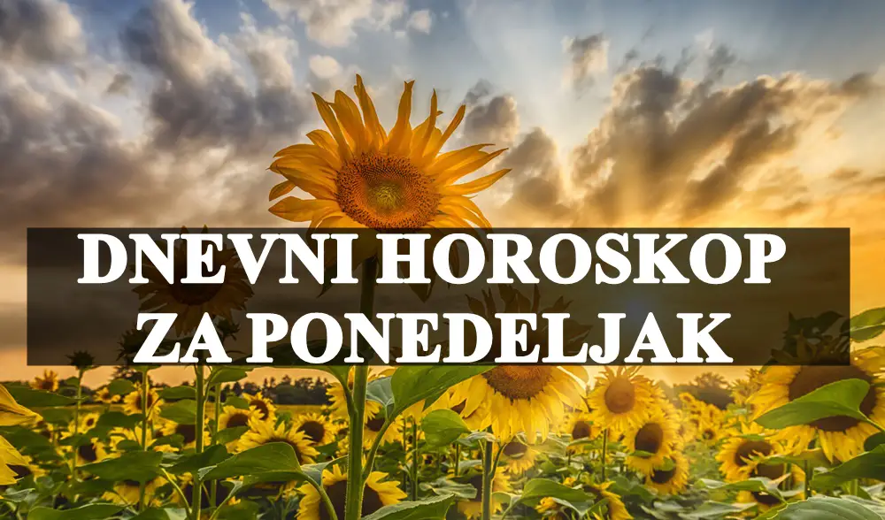 Dnevni horoskop za ponedeljak, Rakovi Danas je povoljan dan za vas !