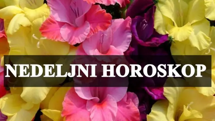 Nedeljni horoskop za sve znake zodijaka, saznajte sta vam sledeca nedelja donosi.