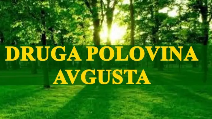 Druga polovina avgusta, donosi promene Ovnovi se suocavaju sa novim izazovima !